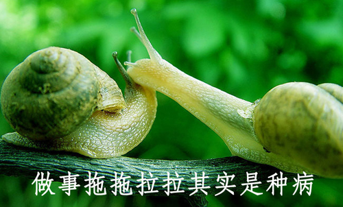 拒絕拖延從今天開始，明天會更好(圖4)